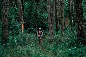 BIB: 
                            <button type="button" onclick="openModal(25236975)" class="btn btn-primary btn-sm float-right btn-popup" data-toggle="modal" data-target=".modal-high-quality">
                        <i class="fas fa-shopping-cart"></i> Add to Cart
                    </button>
                                            <button type="button" onclick="isThisMe(25236975, true)" class="btn btn-success btn-sm float-right btn-popup btn-isme hidden" data-toggle="tooltip" data-placement="bottom" title="นี่คือรูปของคุณใช่ไหม คลิกที่นี่เพื่อเอาเข้าอัลบั้ม">
                        <i class="fas fa-plus"></i> Add to album
                    </button>
                    <button type="button" onclick="isThisMe(25236975, false)" class="btn btn-warning btn-sm float-right btn-popup btn-isnotme hidden">
                        <i class="fas fa-ban"></i> Remove from album
                    </button>